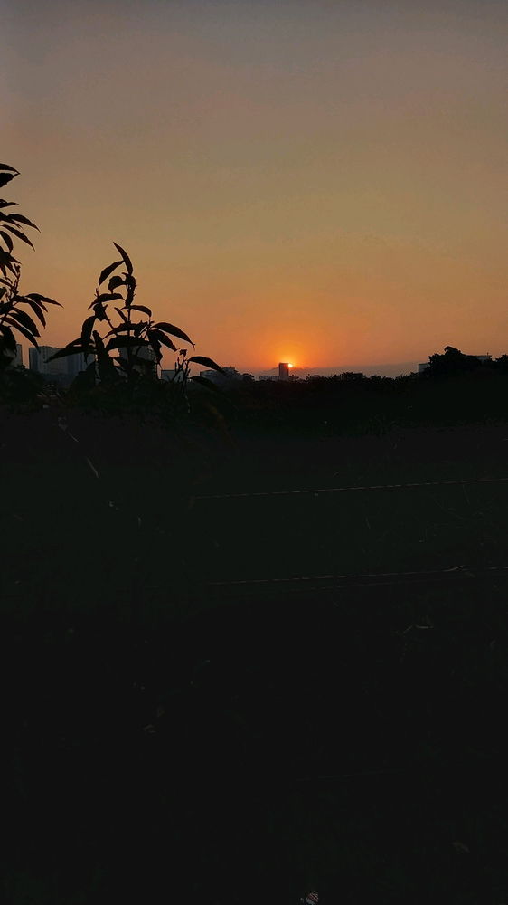 Que bonito sol