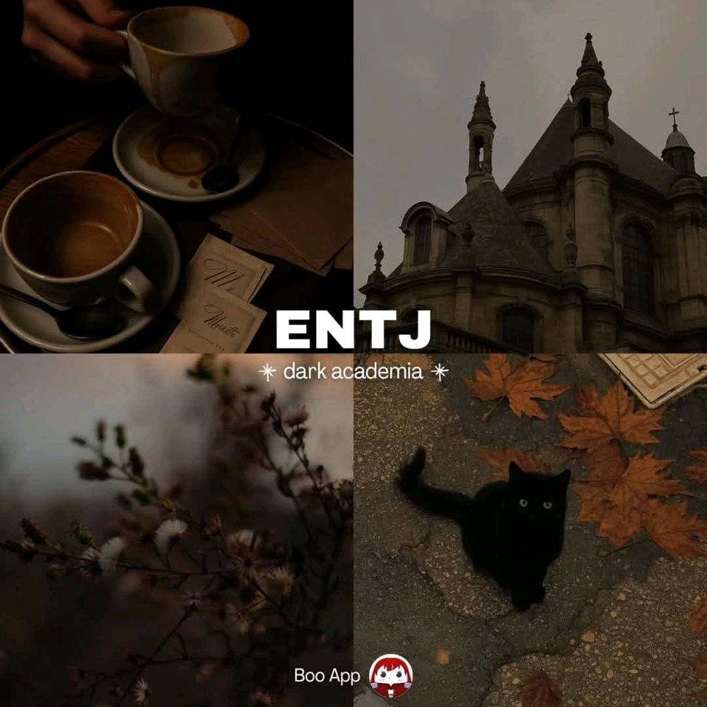 Noites e mais noites!