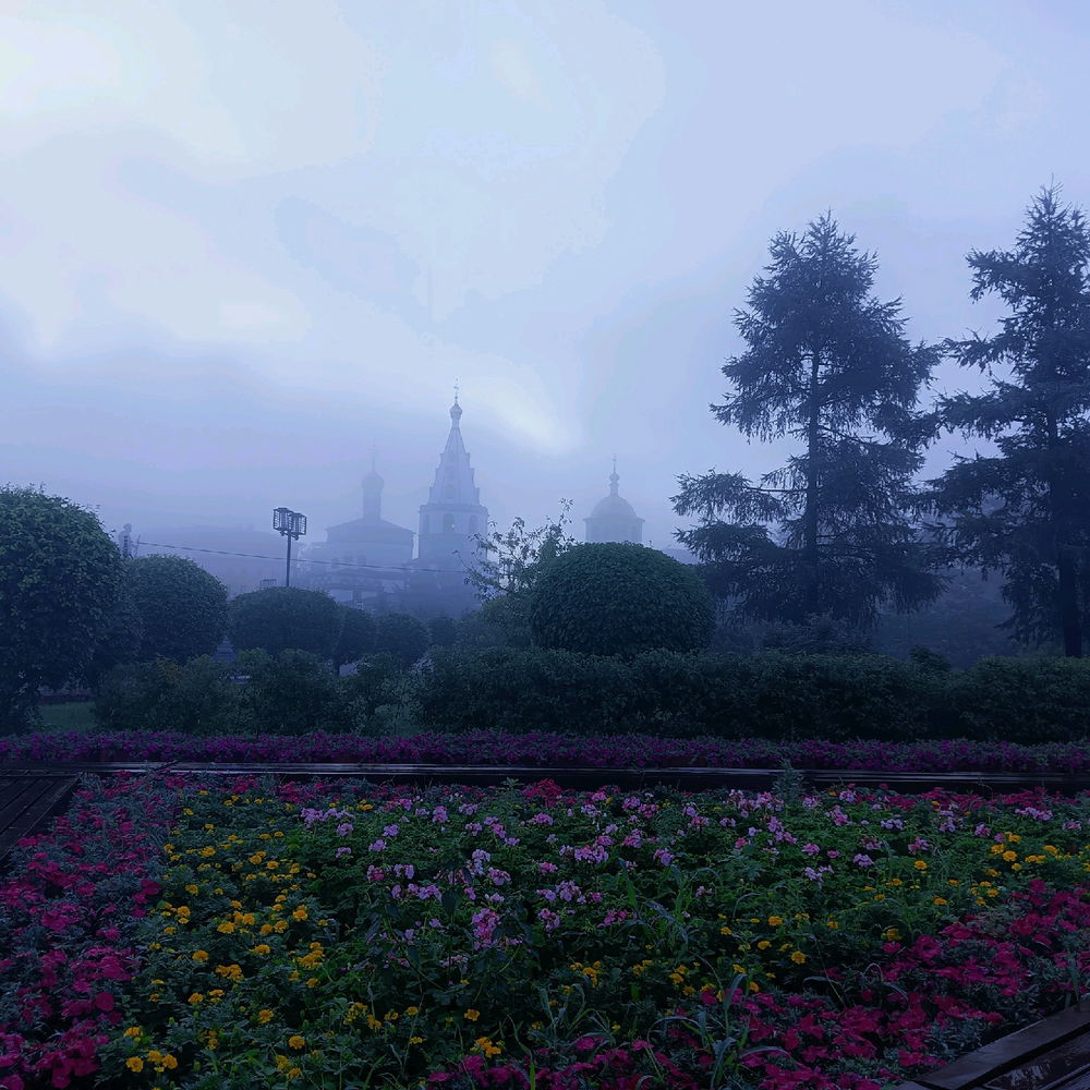 Why does the fog look mysterious 🧐