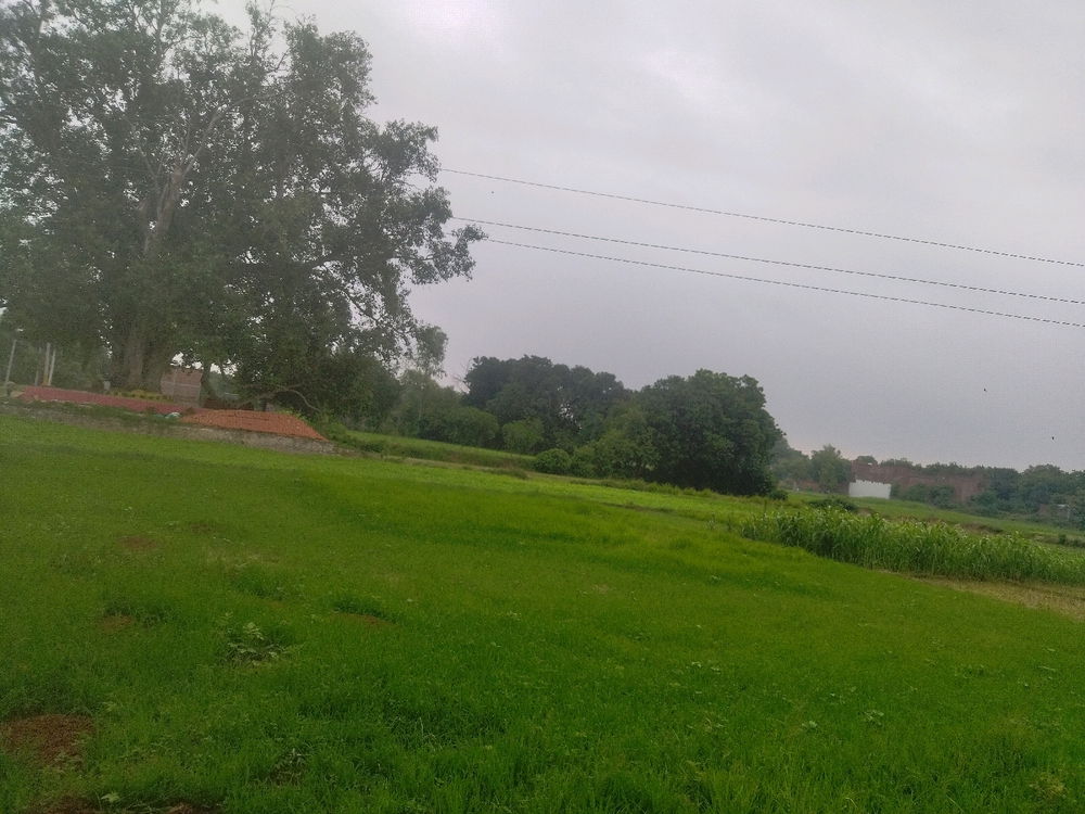 🎀 mast Mausam hai