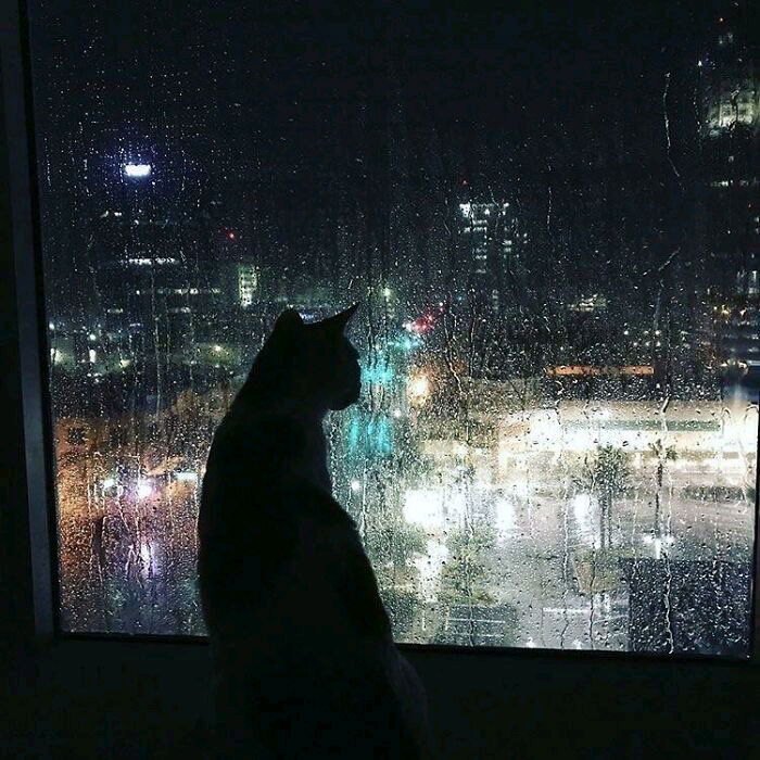 Huy, cómo me gusta la lluvia suavecita