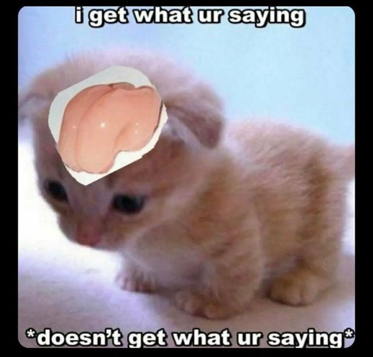 Me after the dm just explained what the rules for a puzzle