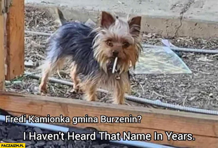 Fredi Kamionka Gmina Burzenin