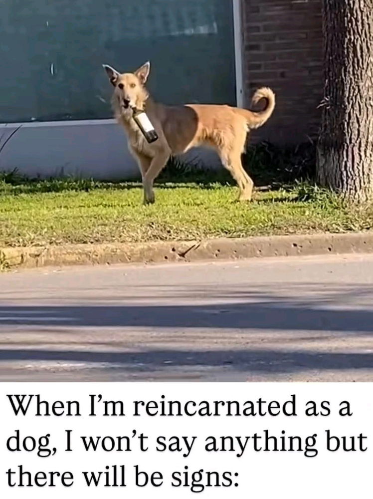🤣😂🤣
