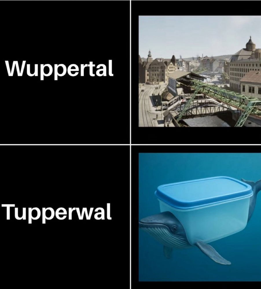 🐋