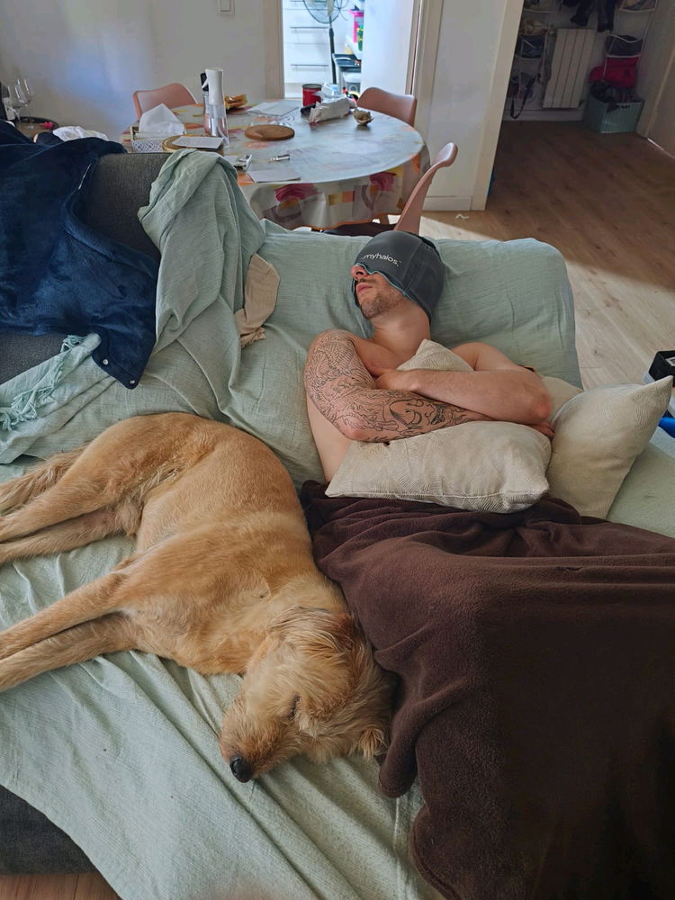 Día de perros