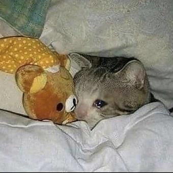 Estoy despierto, y no se por que estoy despierto