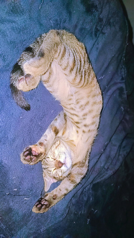 👋