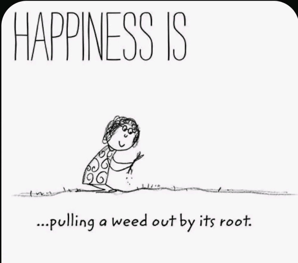 😄💐