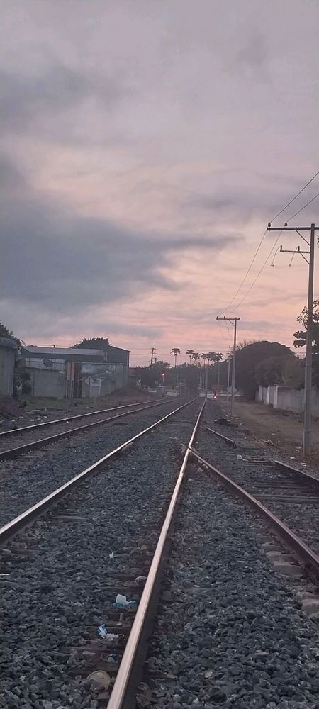 Fotografia