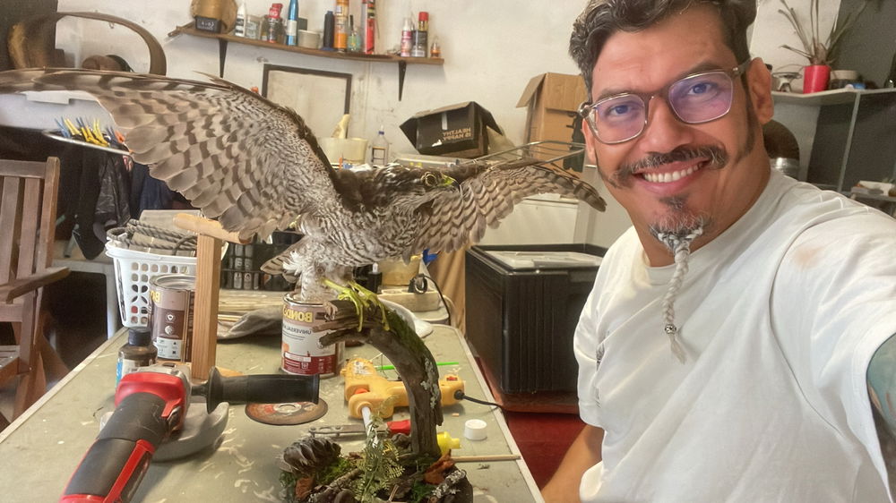 Taxidermia