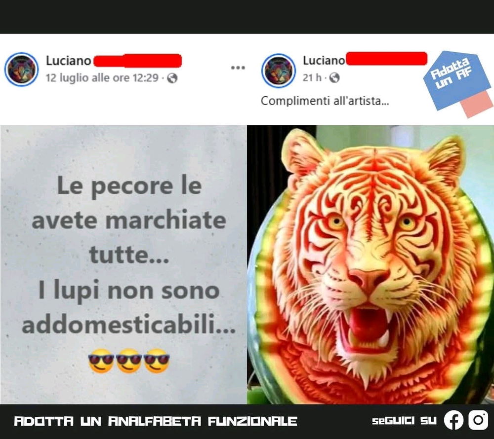 I Lupi: