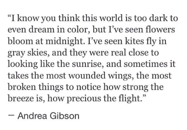 🦋 💚