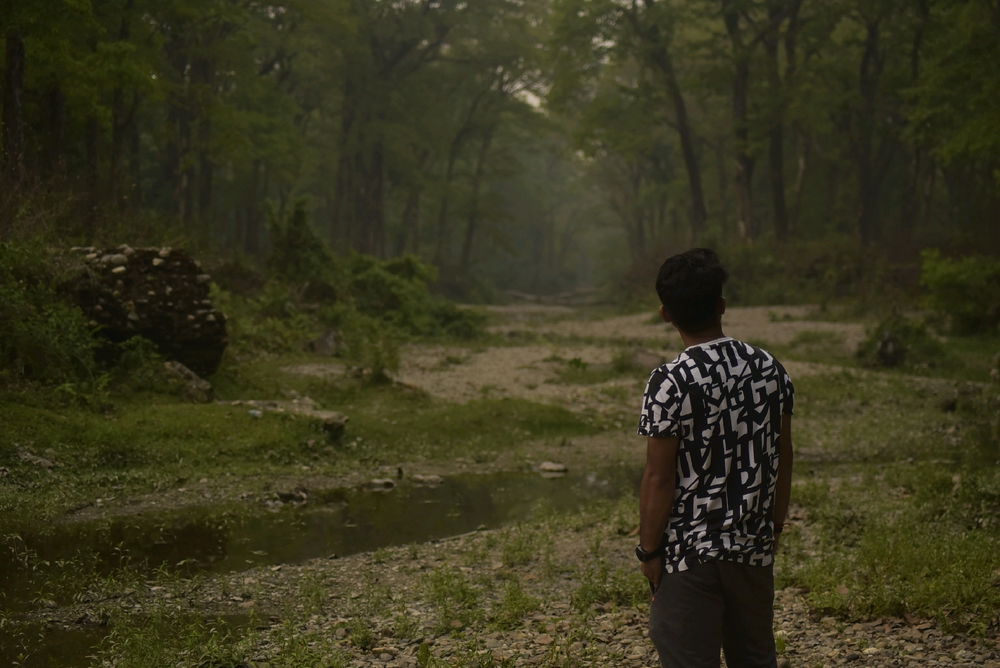 Into the wild — where every step sparks adventure.🌳🐅