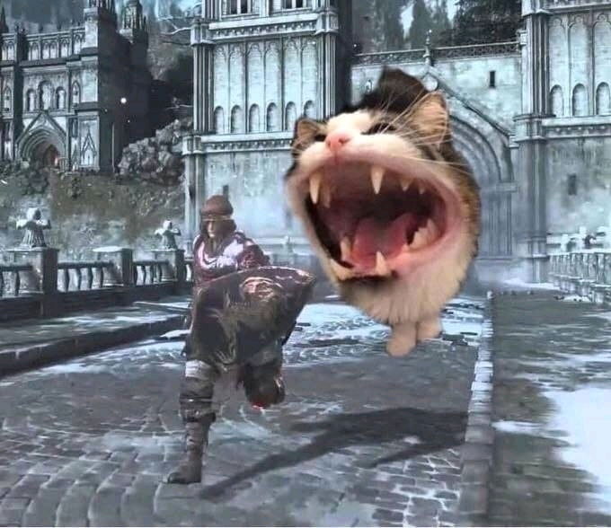 RUNNN