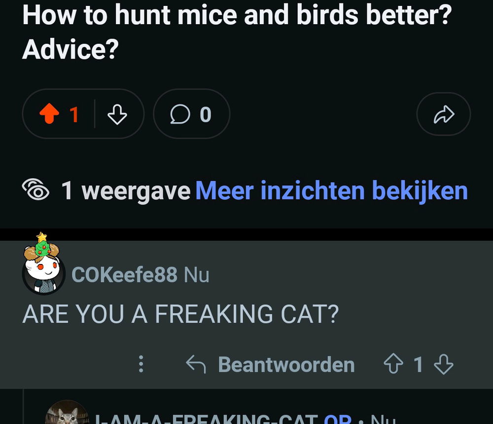 He is a freaking cat