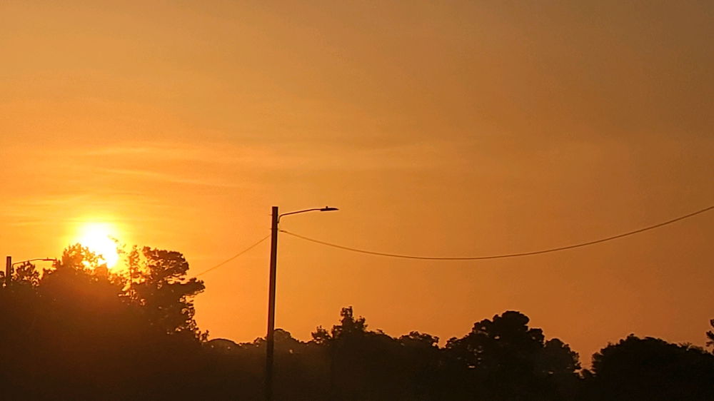 Wednesday's golden awakening