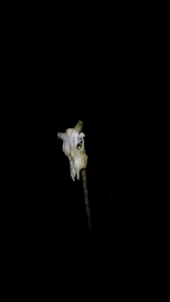 Campsite photos during night