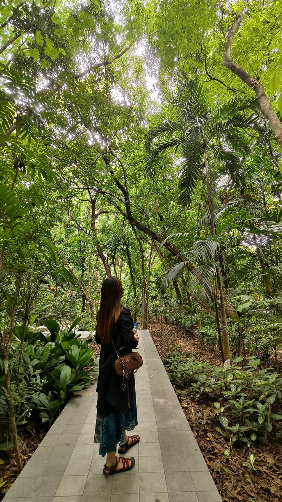 Nature