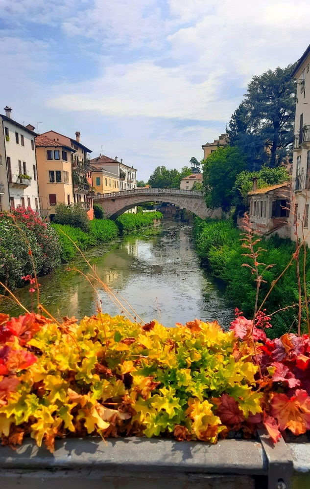 Vicenza