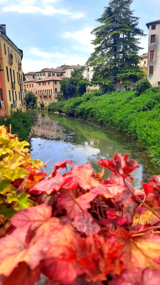 Vicenza
