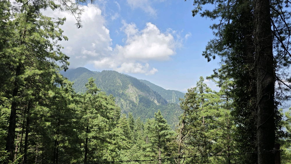 Amazing nature
