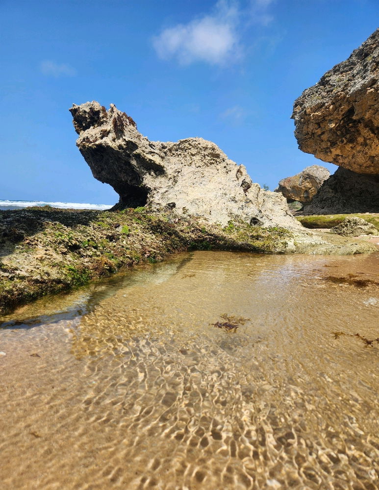 I love these little pools
