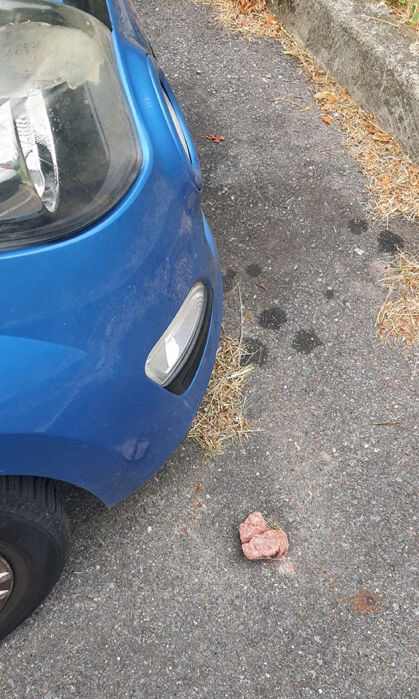 En rentrant du travail, je me suis garé a côté d'un petit coeur brisé 🥲