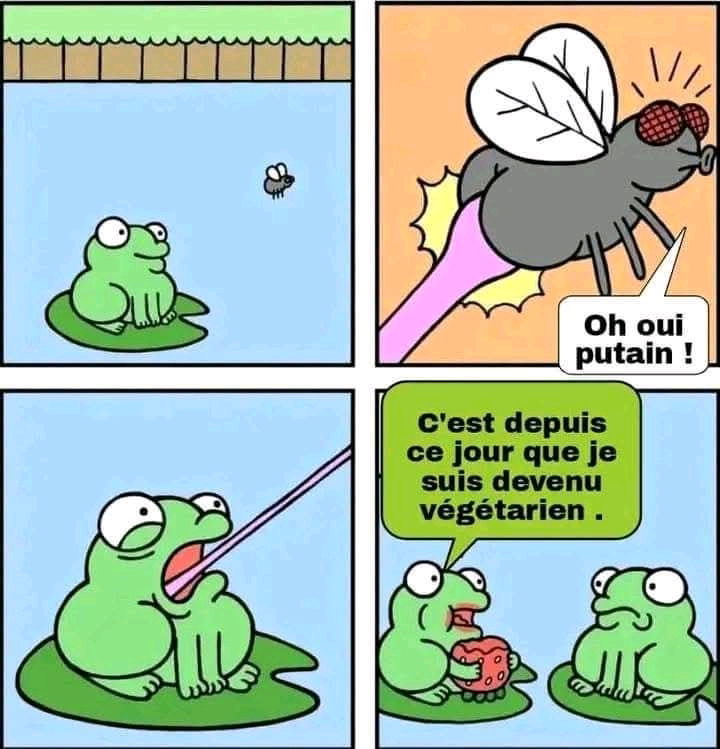 Voilà ce que je dirais maintenant 😬