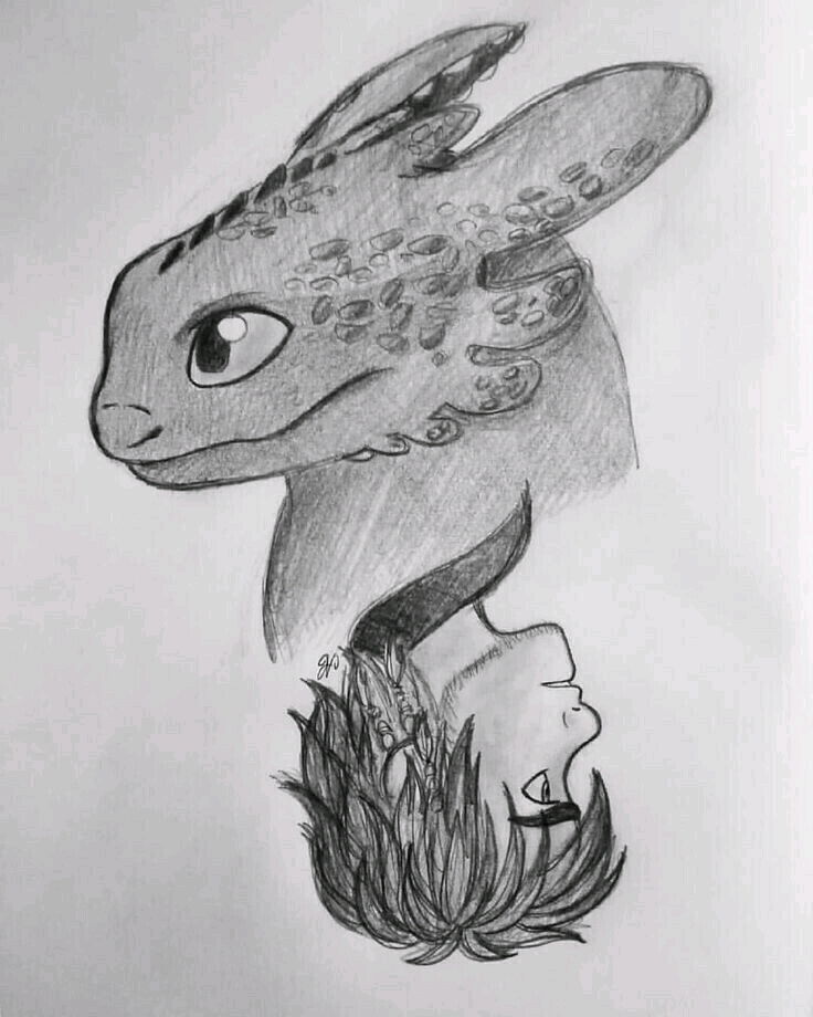 Hiccup and Toothless
