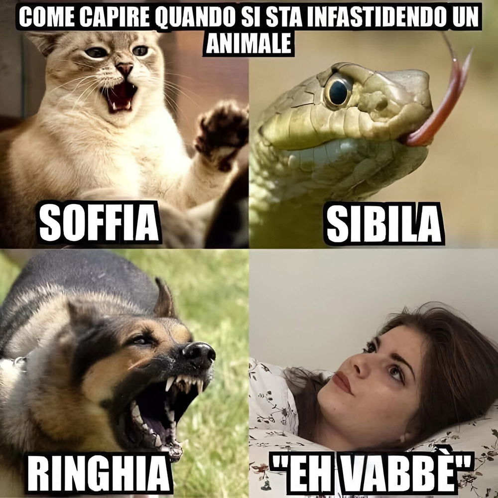 Segnali.