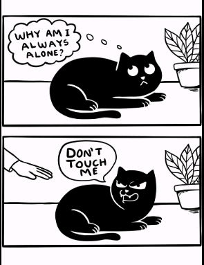 😼😼