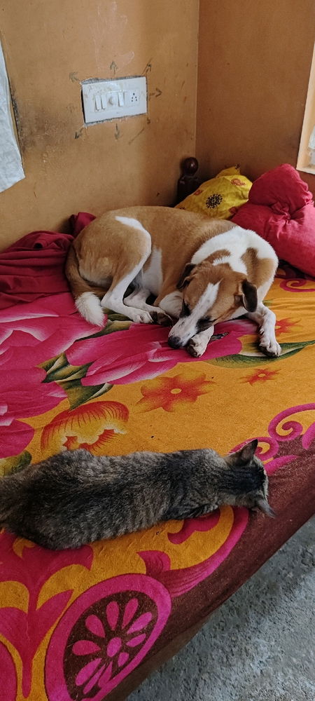 Buddyzzzz🫰🫰🫰
