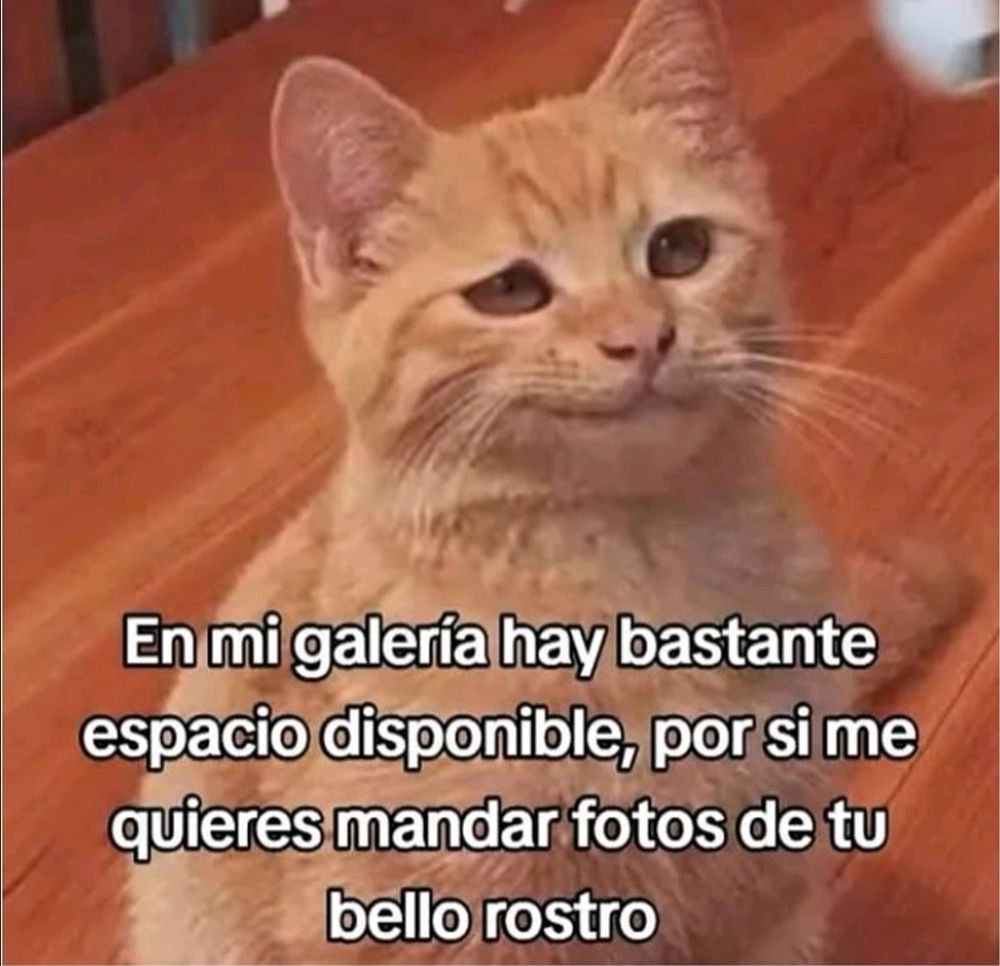 La verdad si tengo espacio y le falta como que guardar fotos de alguien 😔