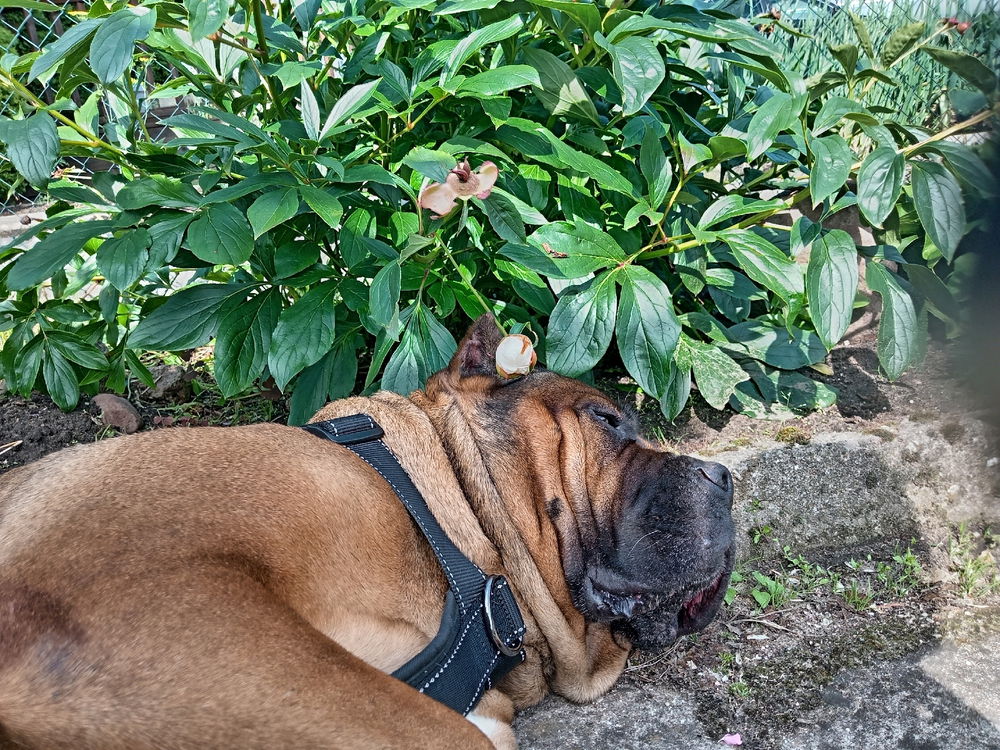 Guarding in process...