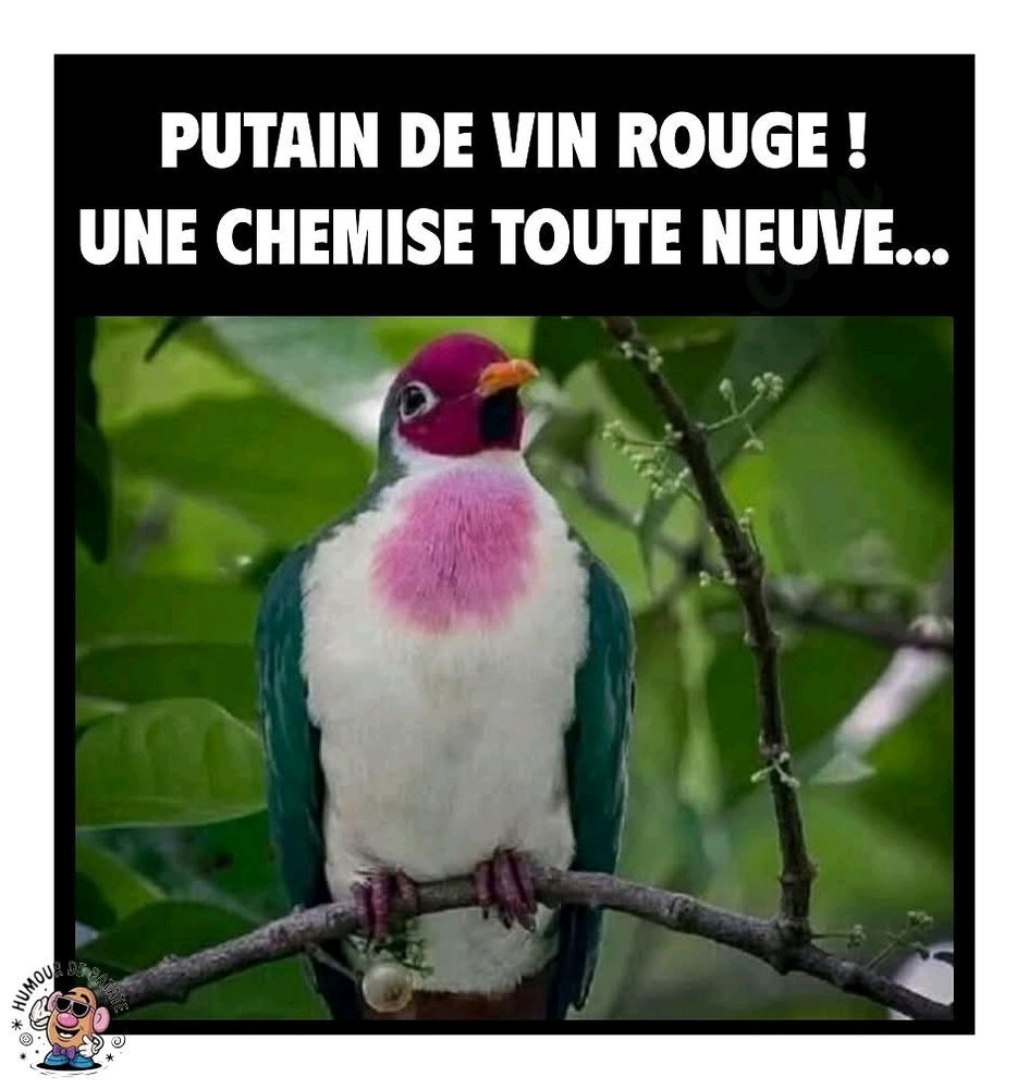 🍷