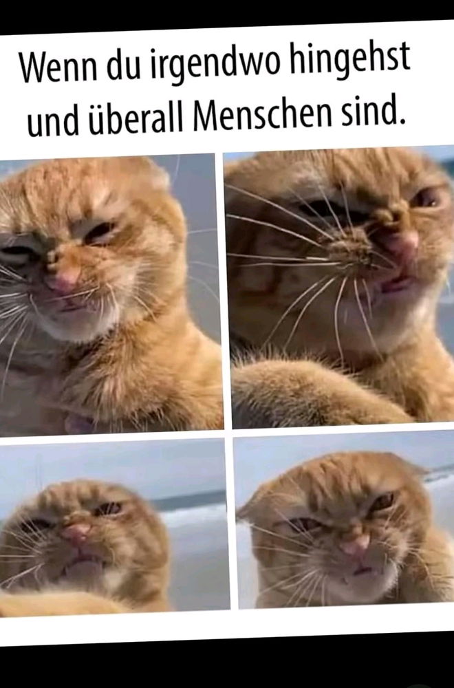 Nimmt es bitte mit Humor 😅🙈