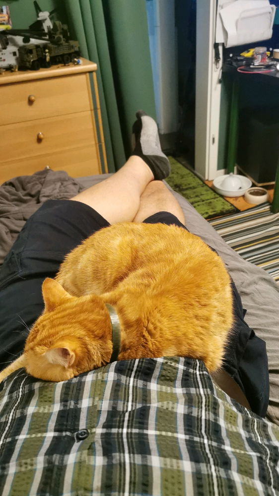 it's a trap