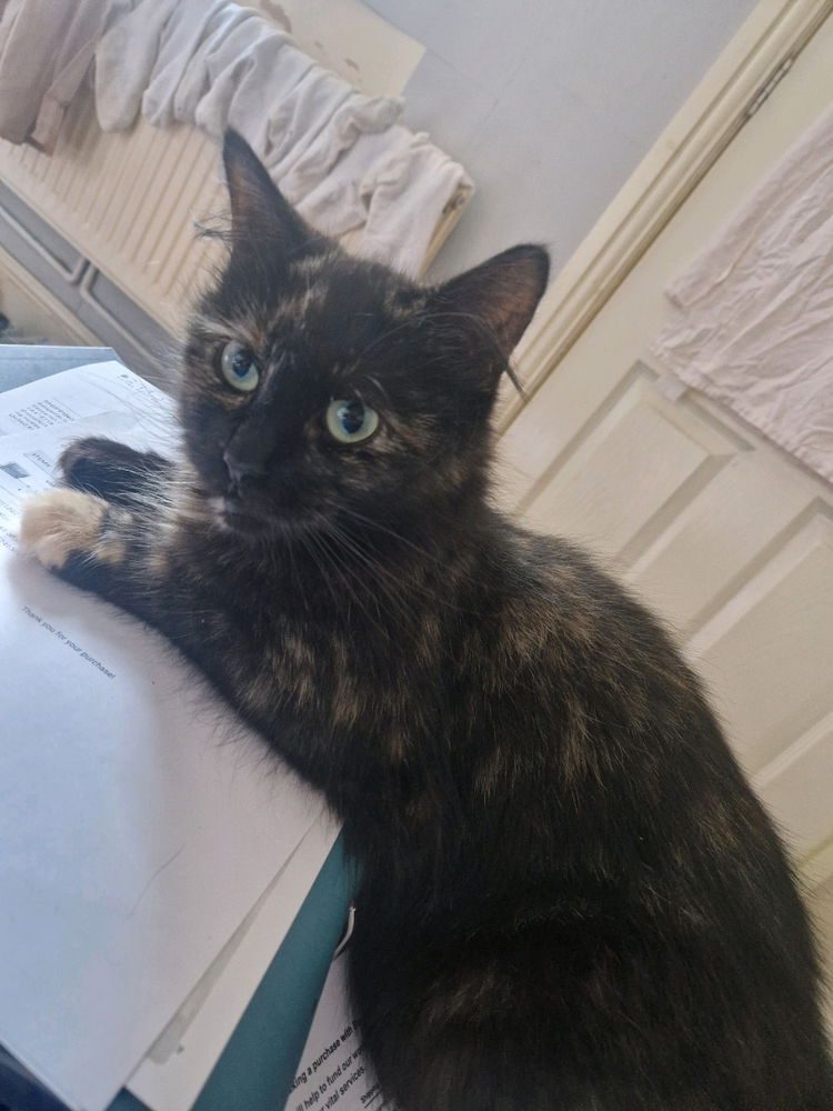 Guess I'm done with work then...