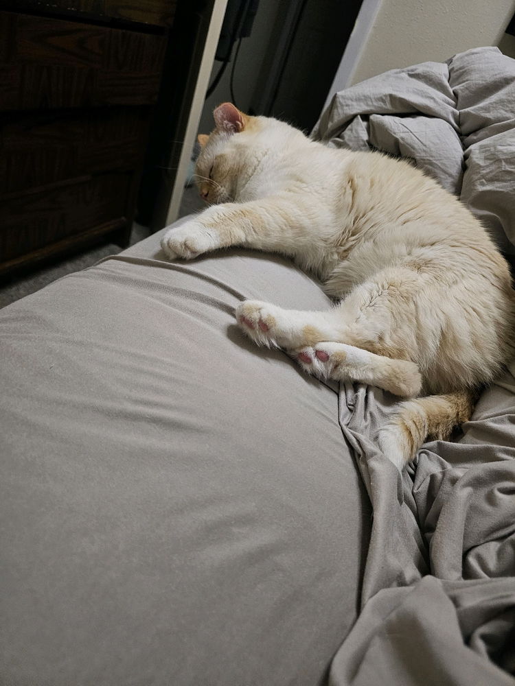 Zzzzz