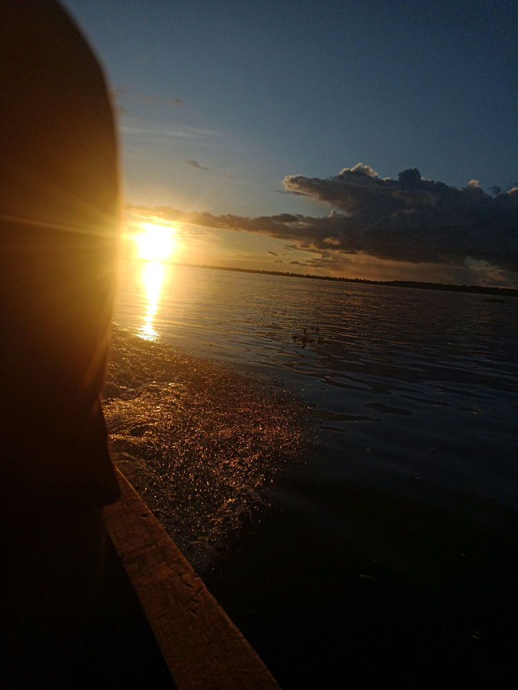 Sin descripción