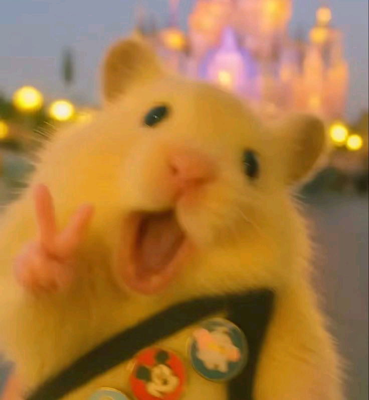 ✌