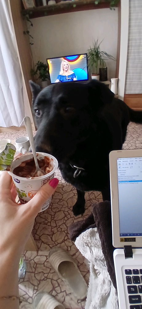 She wants yoghurt 😂😂