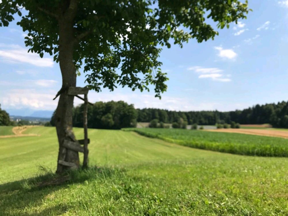 In Switzerland on vacation, so pretty here