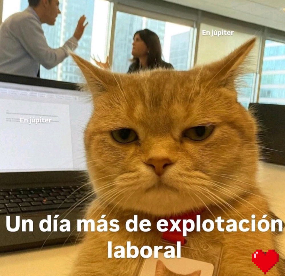 ¡¡Ánimos!!