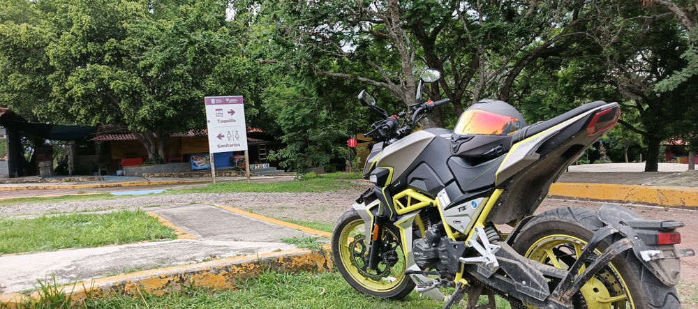 Ruta