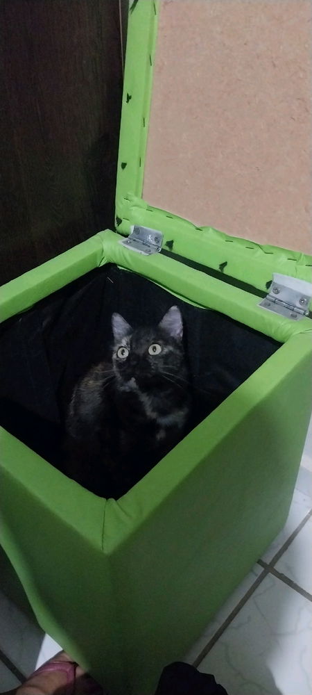 Ainda me mata do coração