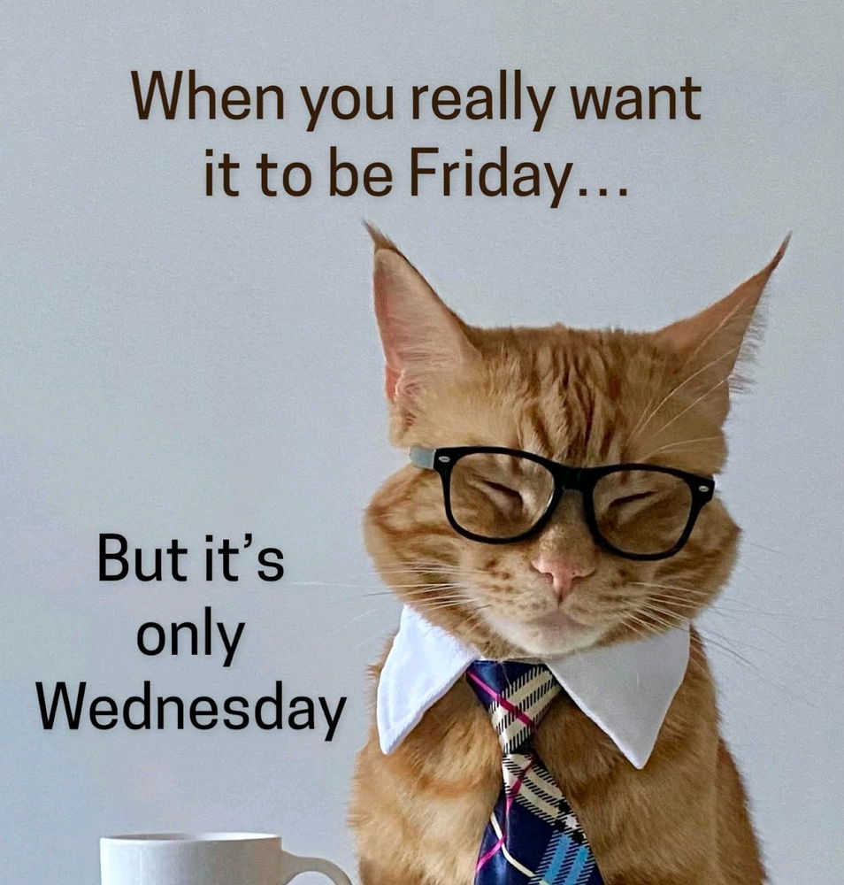 Is it Friday yet?