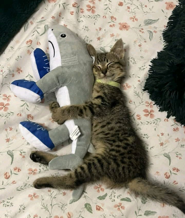 Buenas noches ❤️