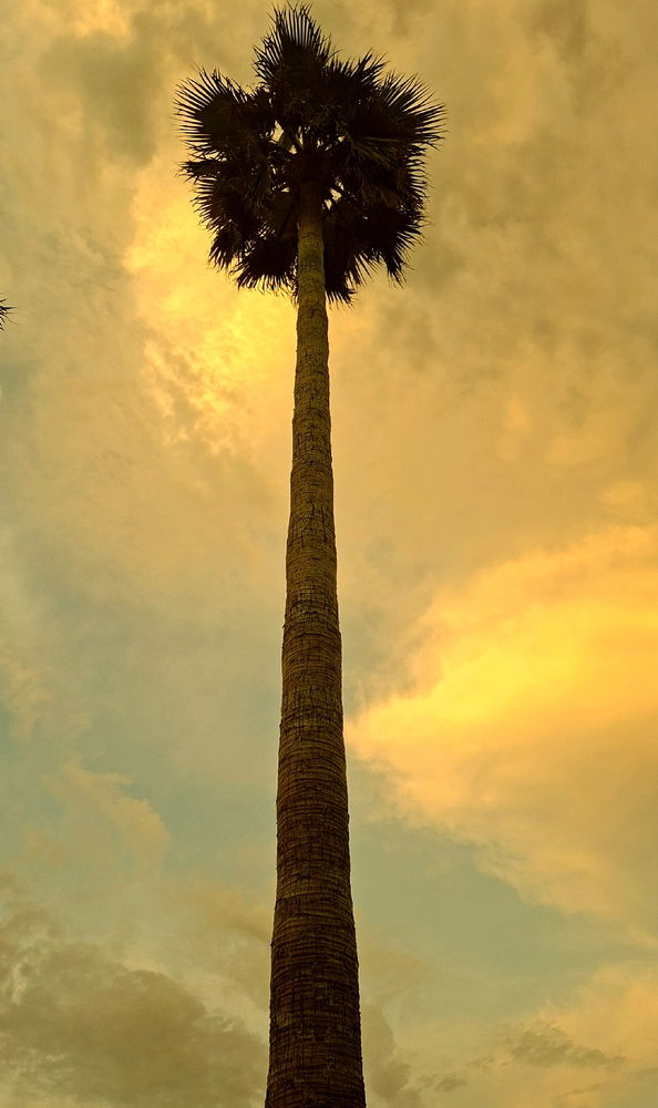 Sunset...